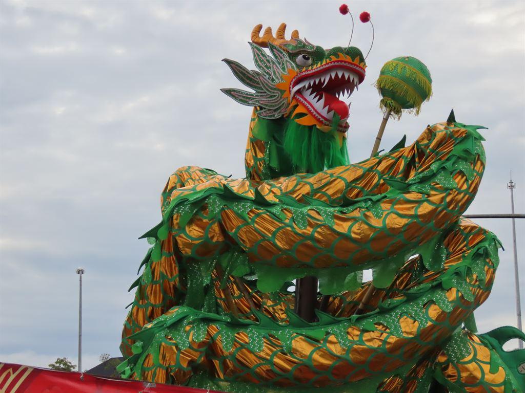 wrappeddragon