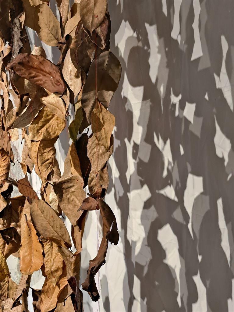 leaves