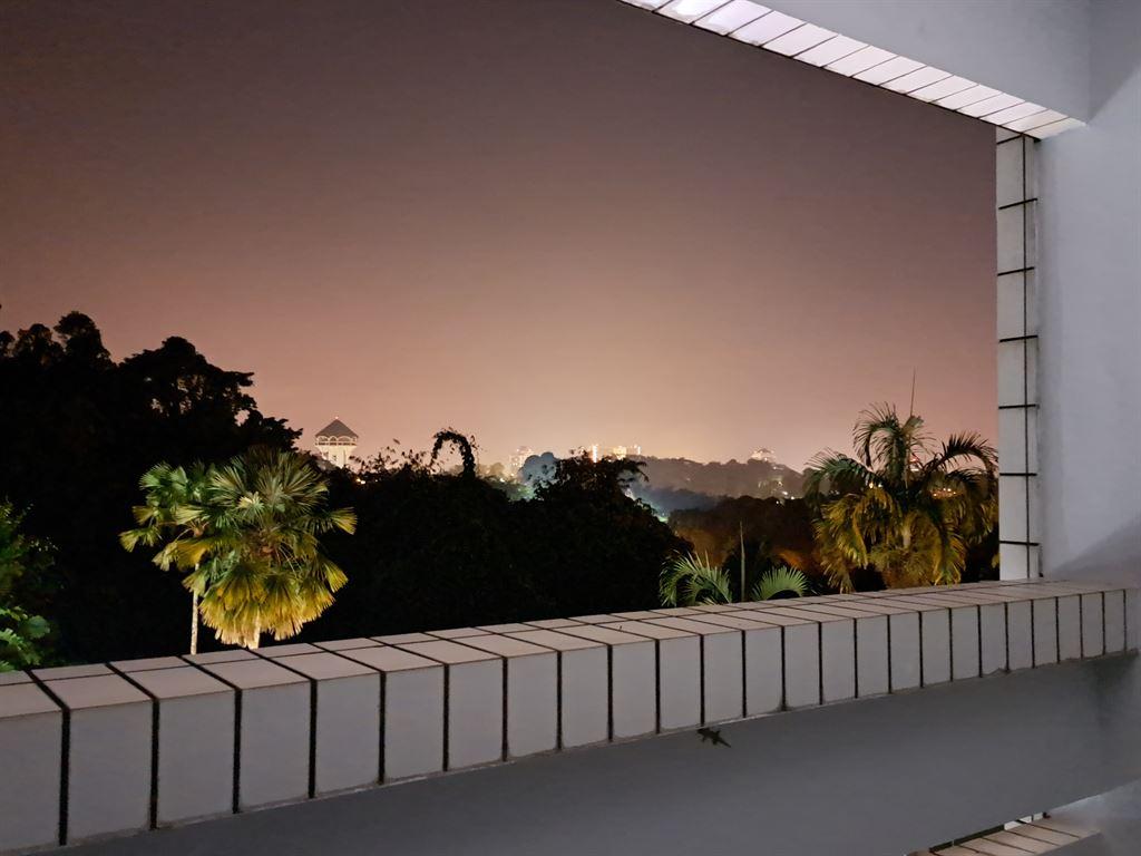 dawn
