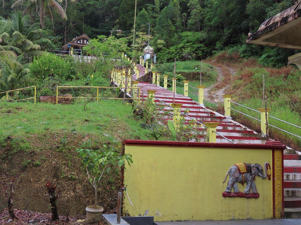steps