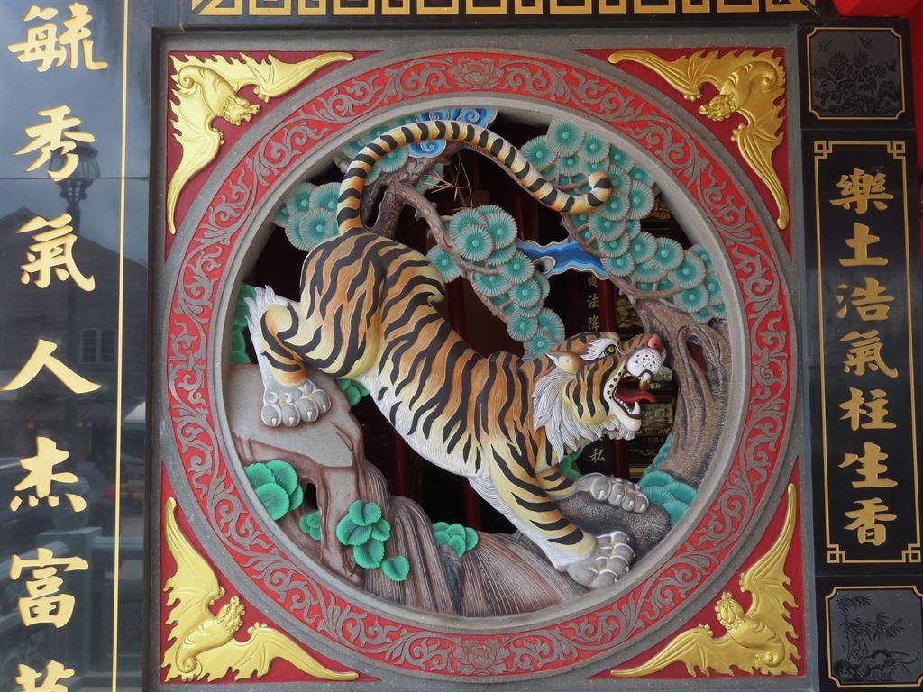 tiger