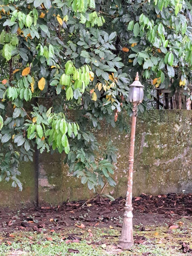 lamppost