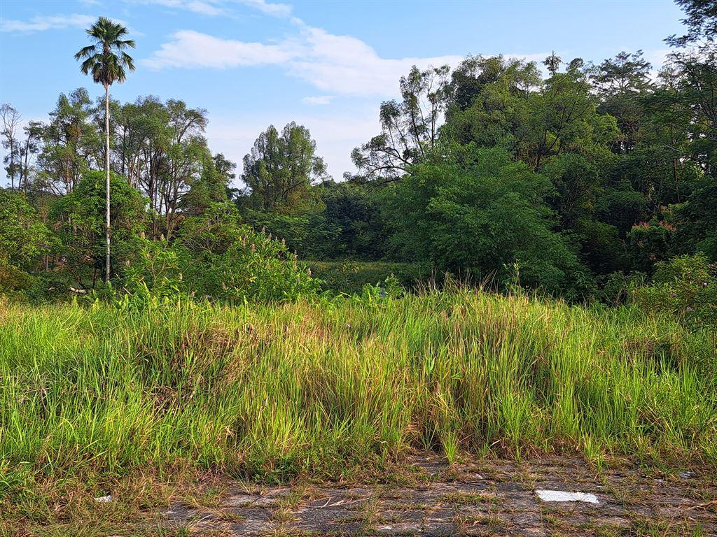 schoolsite