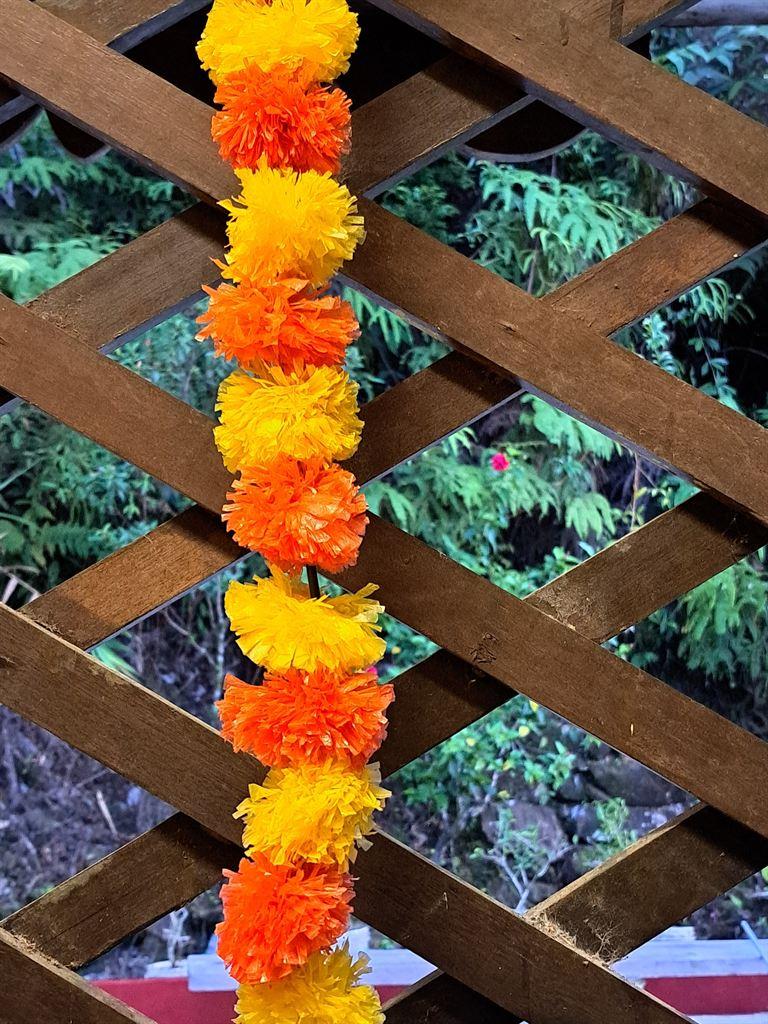 pompom