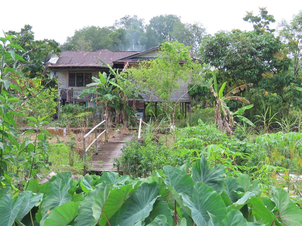 kampunghouse