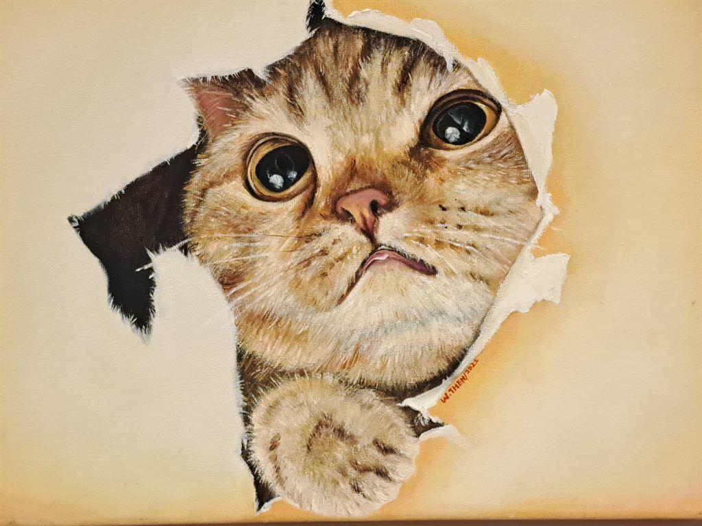 cat1