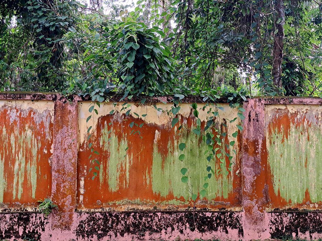 wall