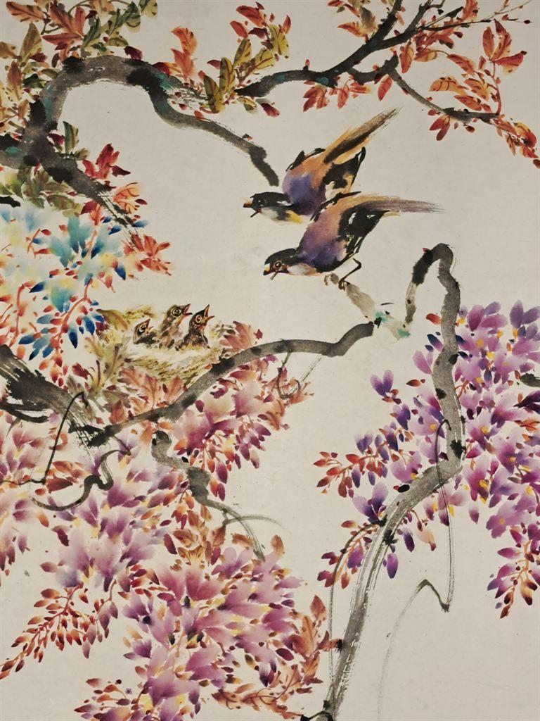 birds