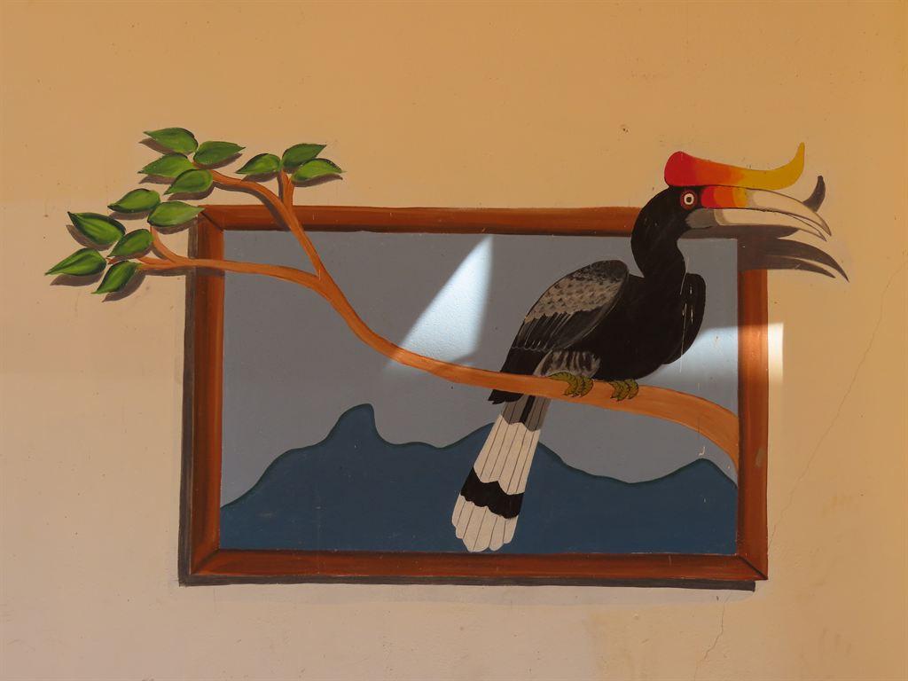 hornbill