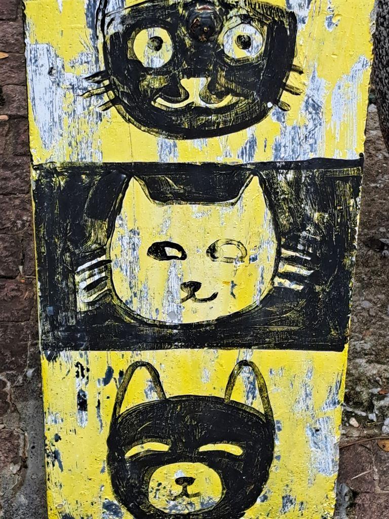 cats