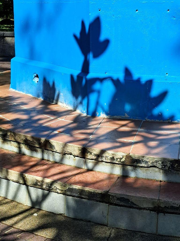 shadows