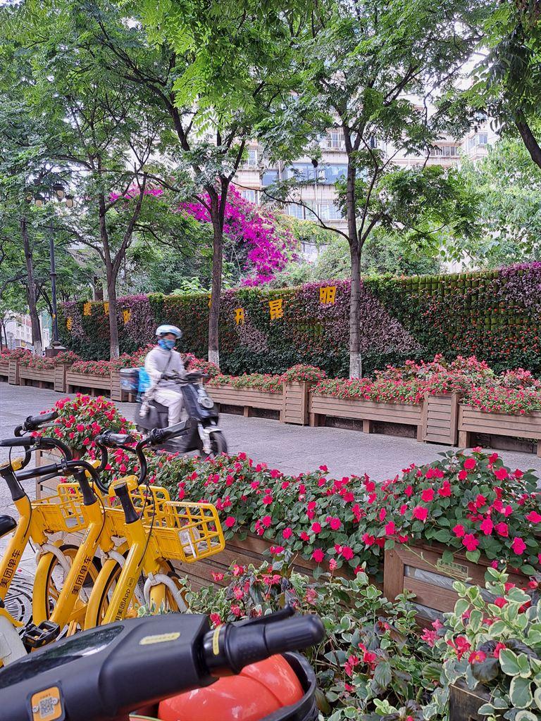 flowers&bikes