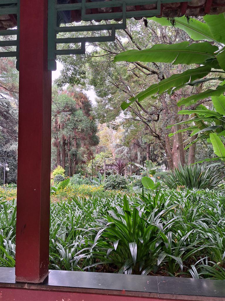 courtyard1