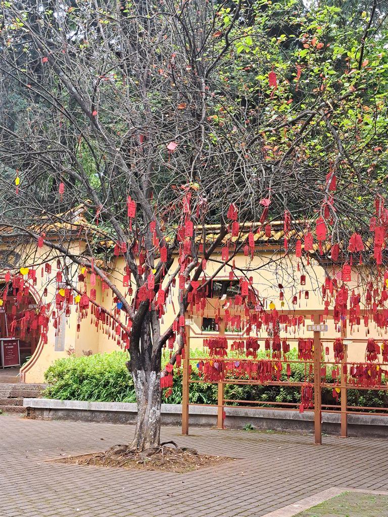 courtyard2