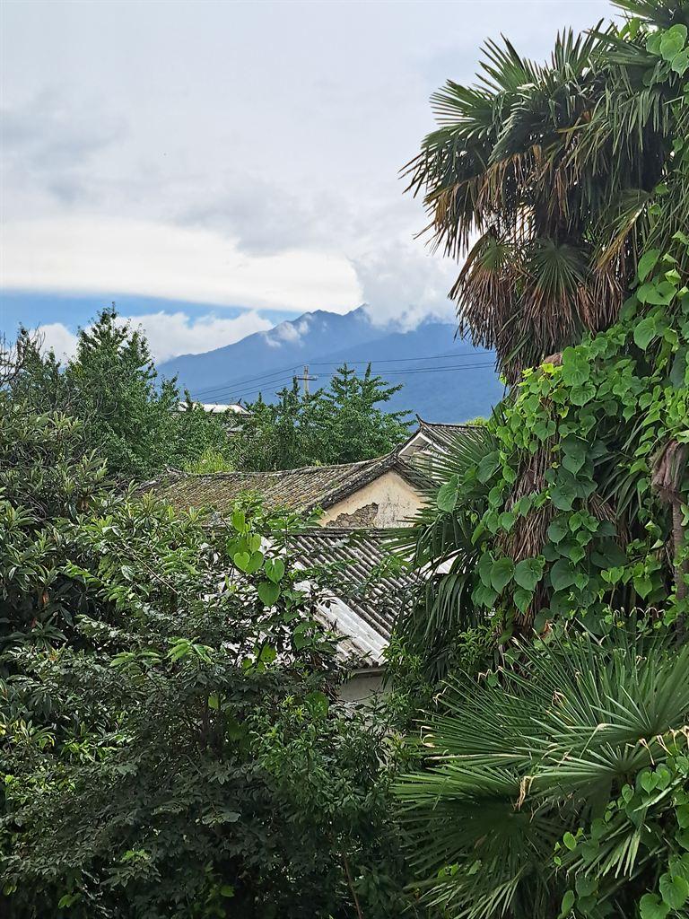 view