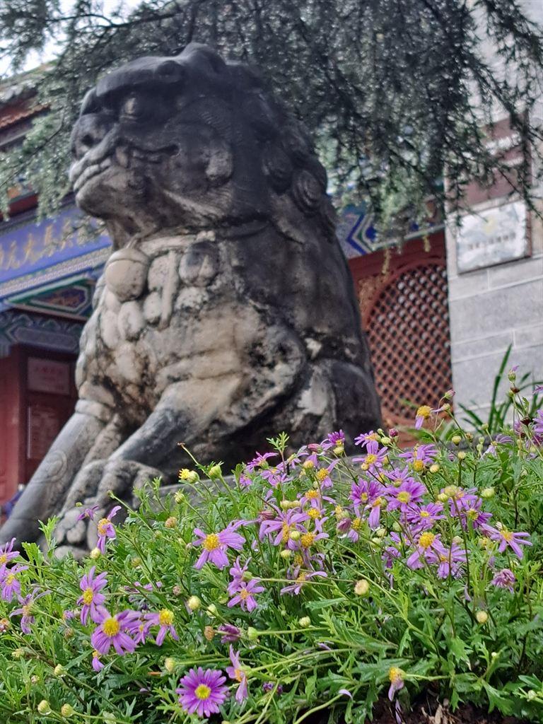 flowers&lion