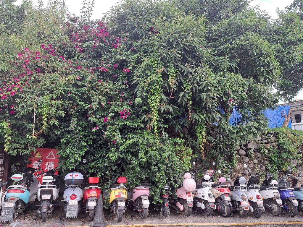 scooterbums