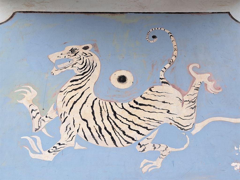 tiger