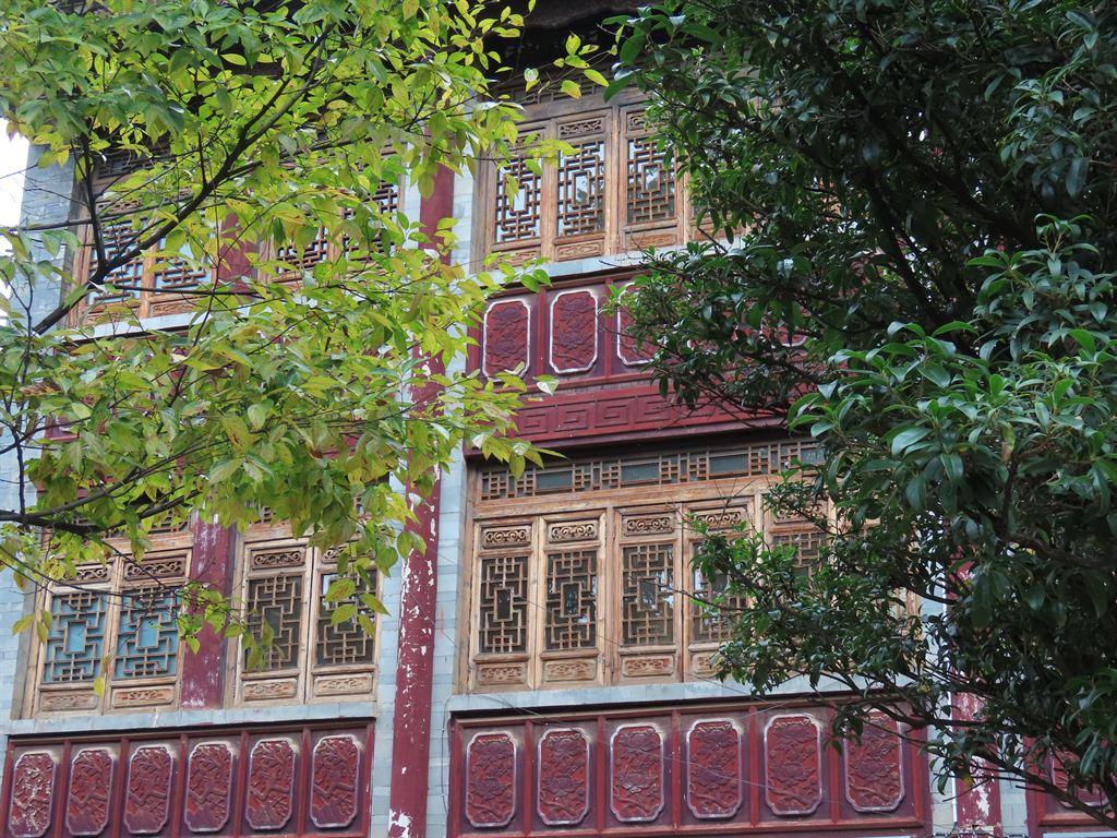 building&trees
