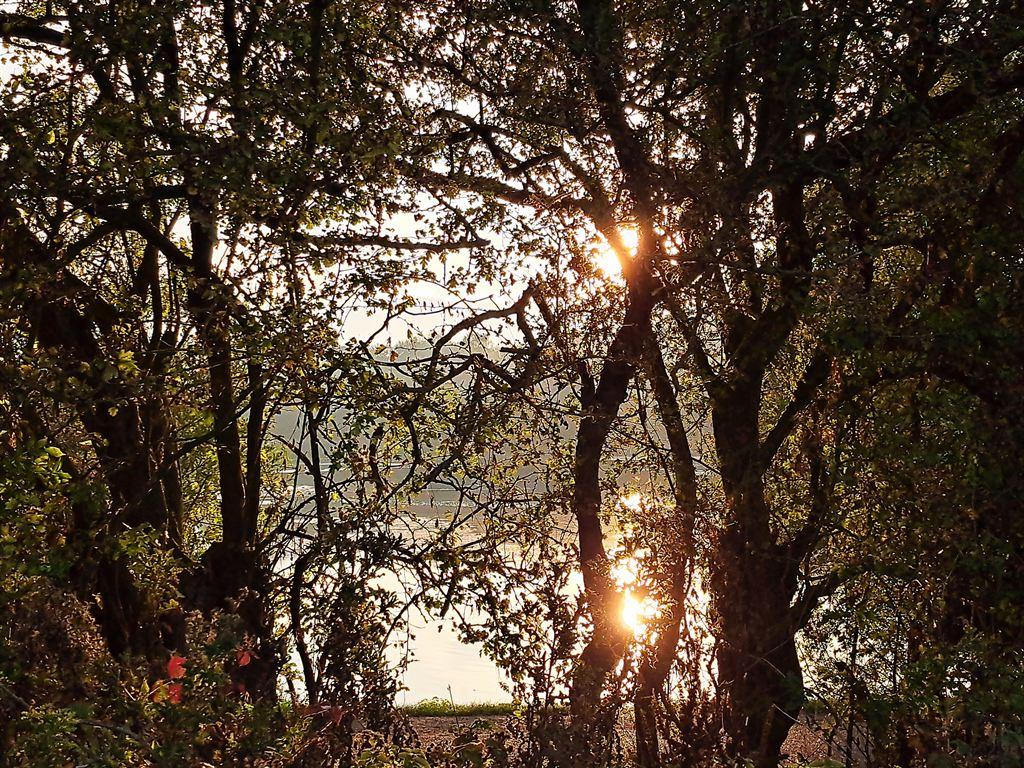 sunrise