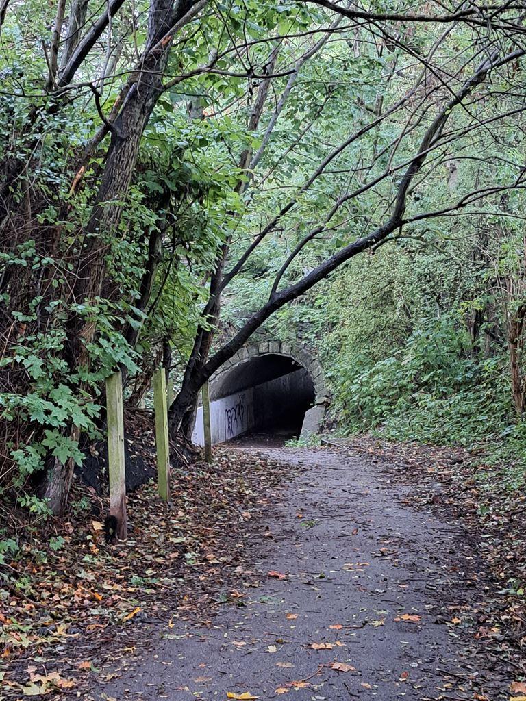 tunnel