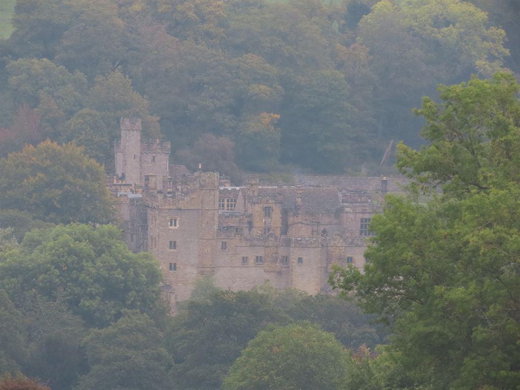 hall&woods
