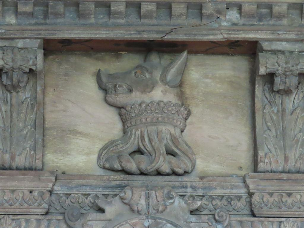 boar