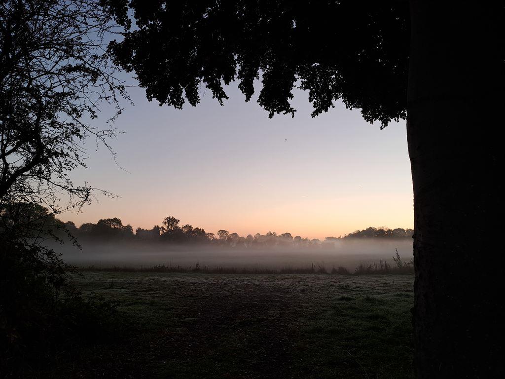 mist1