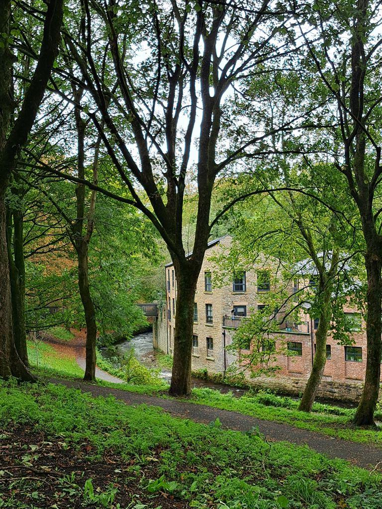 park