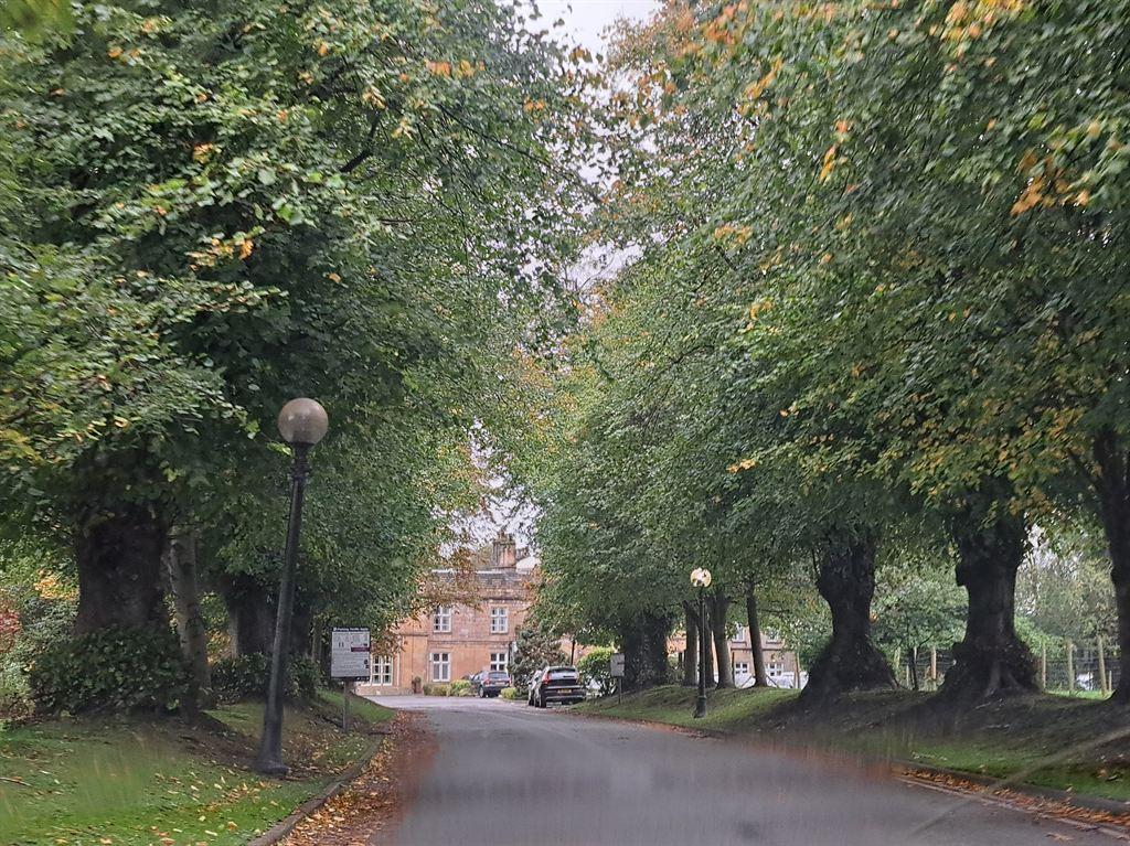 avenue