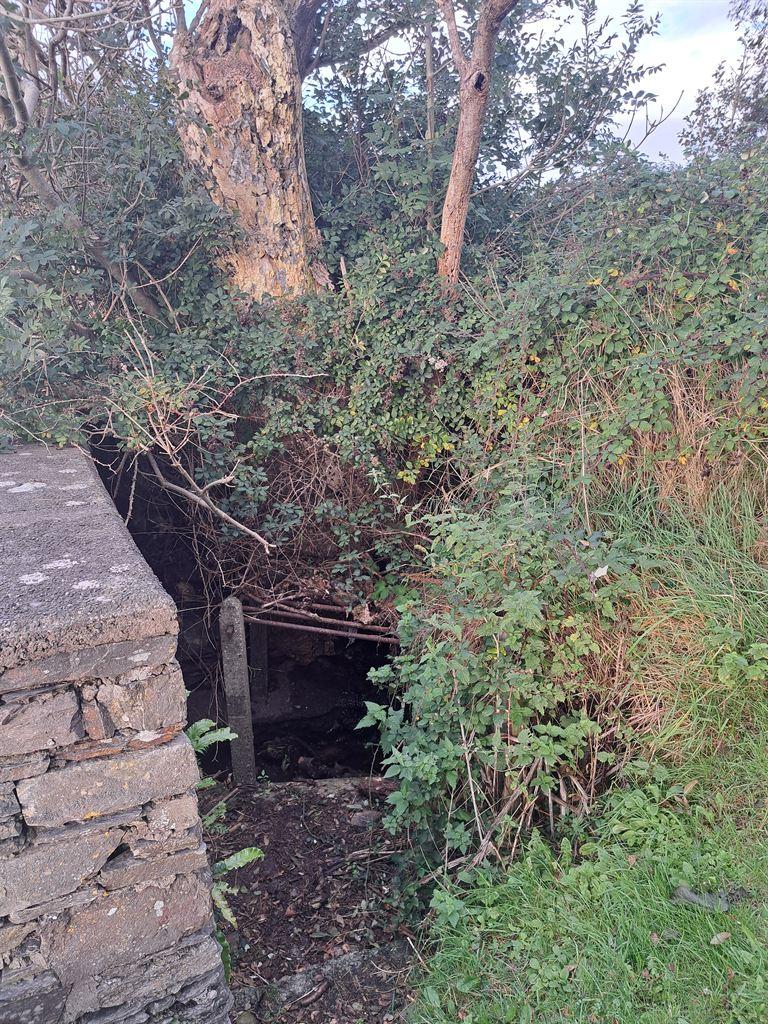 stream1