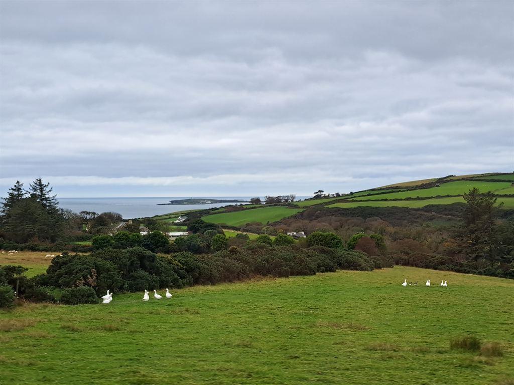 fields