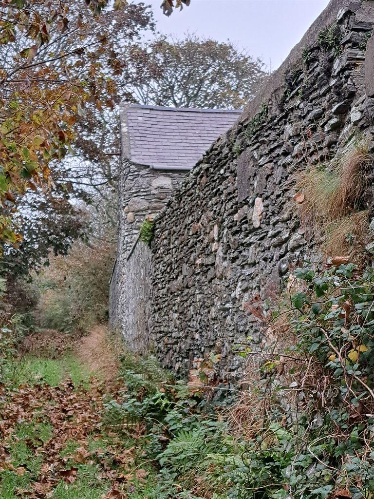wall