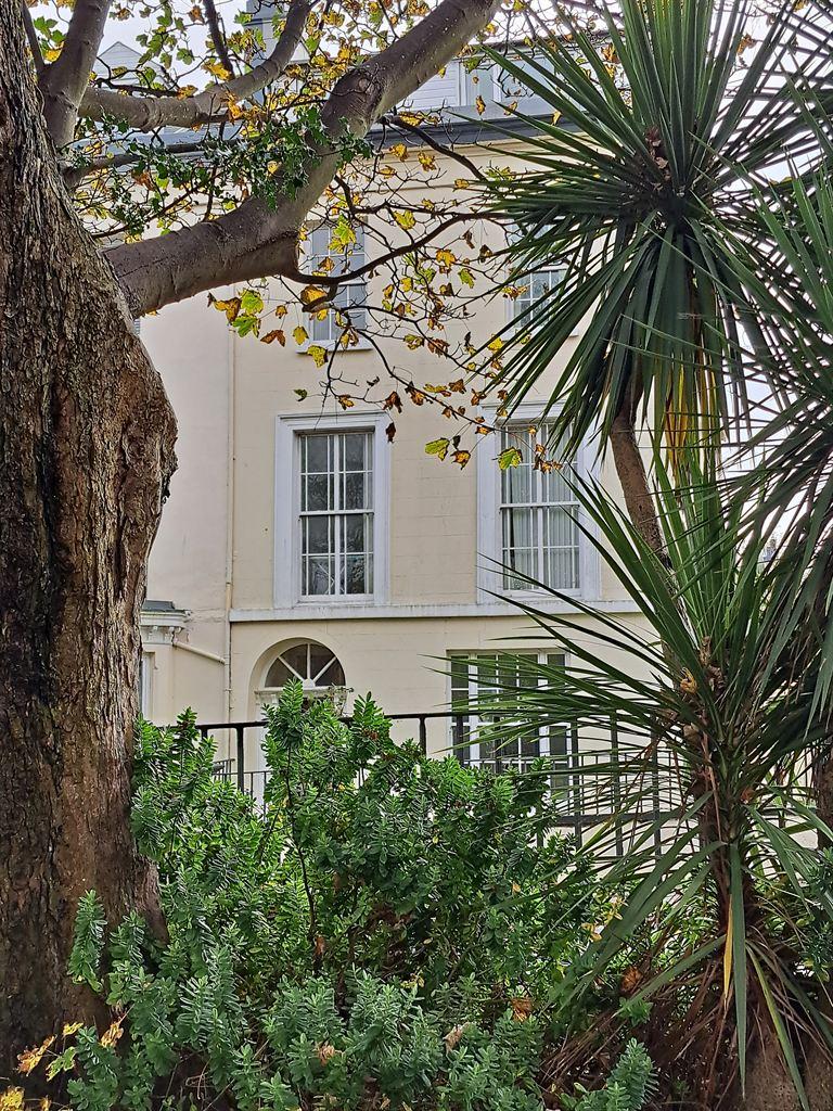 palm&house