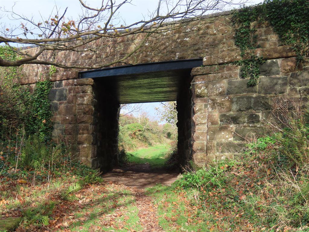 bridge
