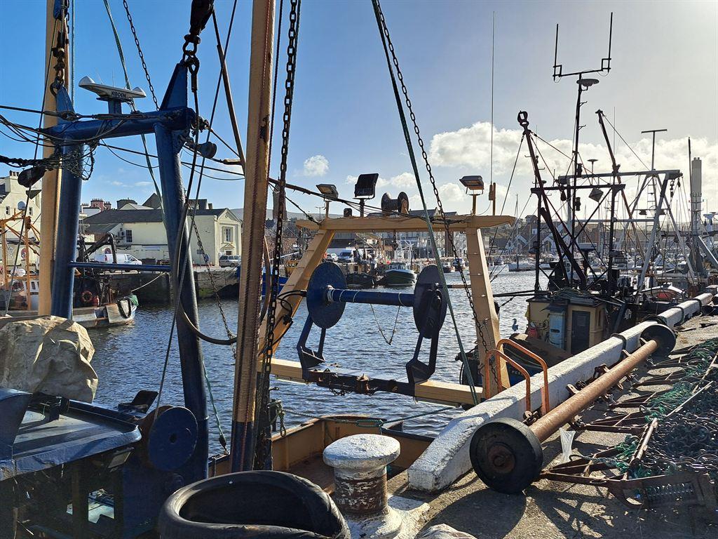 quay1