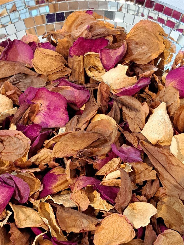 potpourri