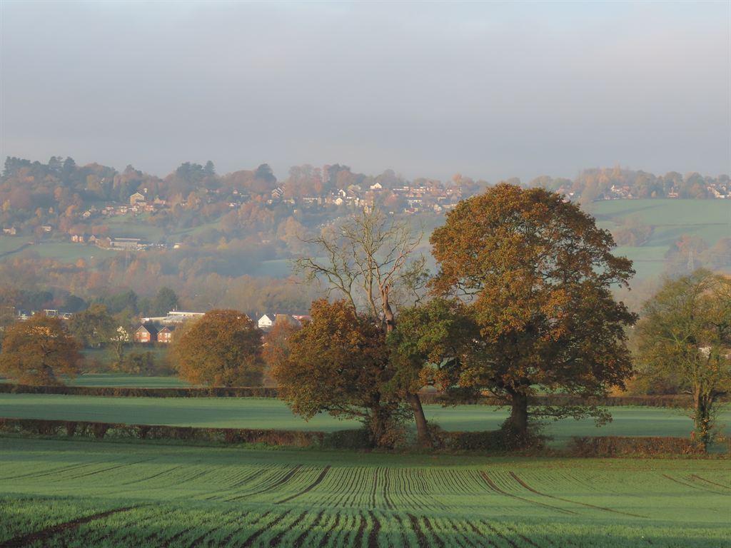smokyview