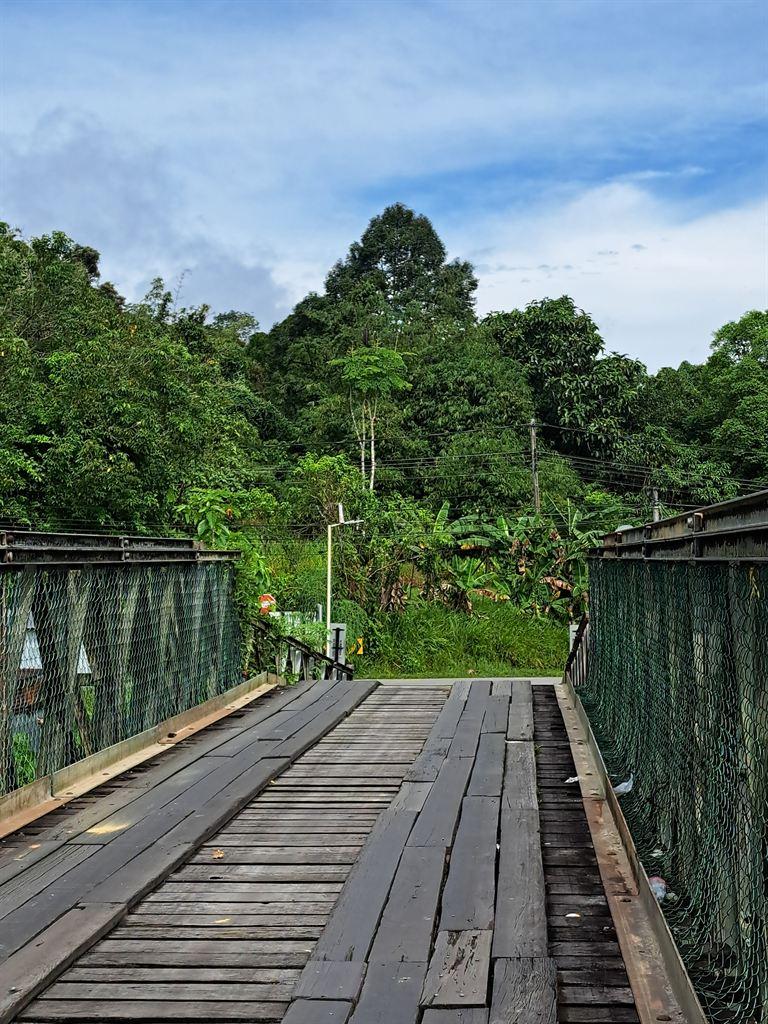 bridge2