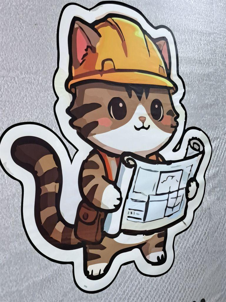 helmetcat1