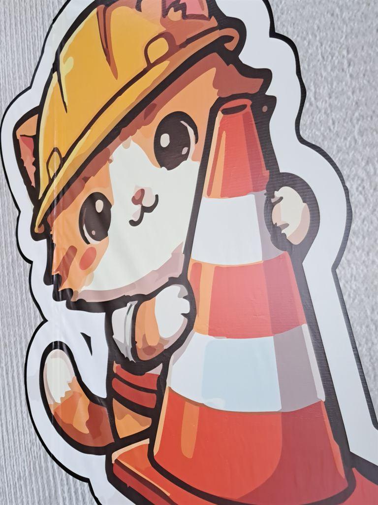 helmetcat2