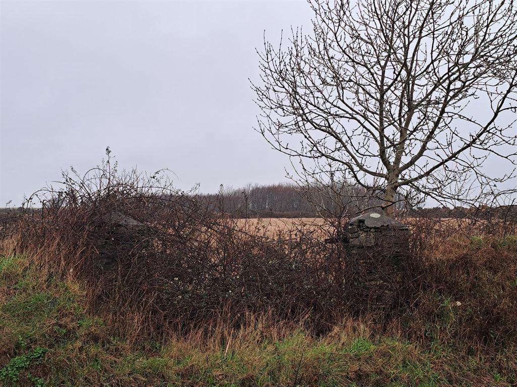 gate