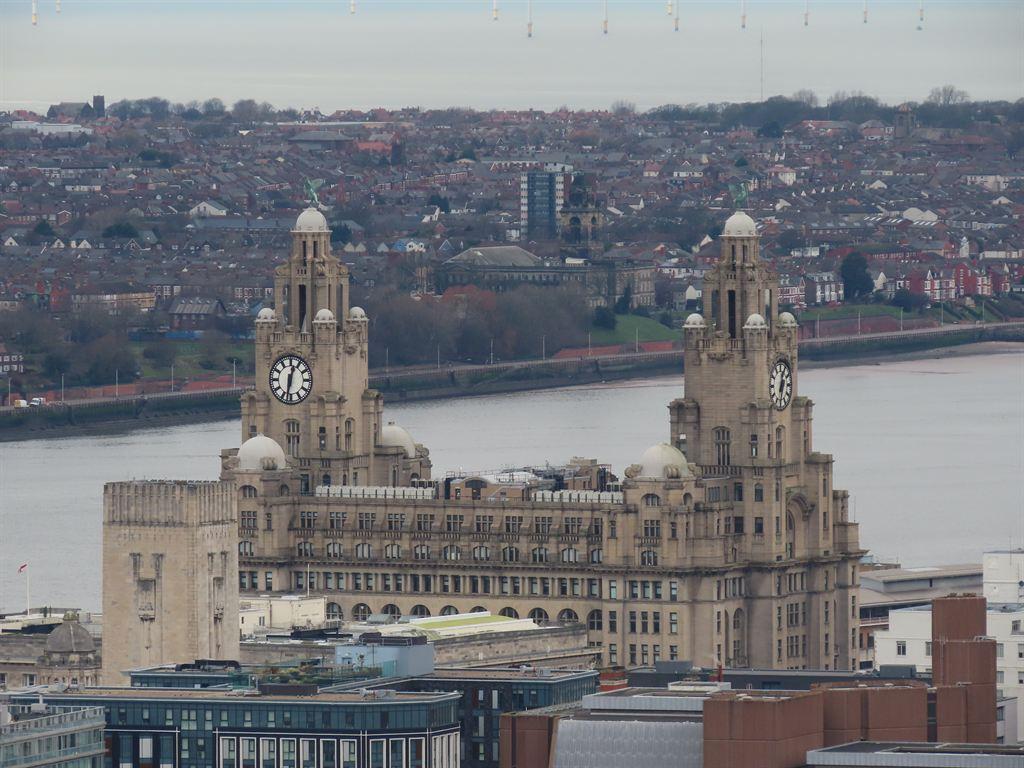 liverbirds