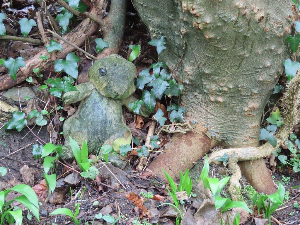 offerings3