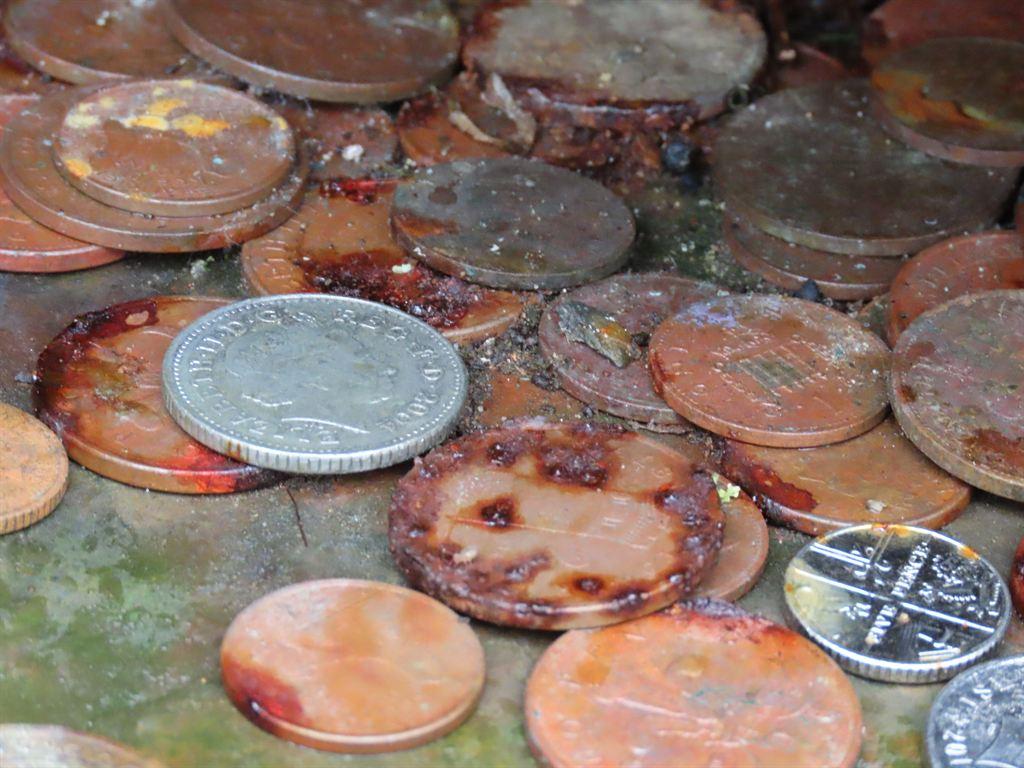 coins