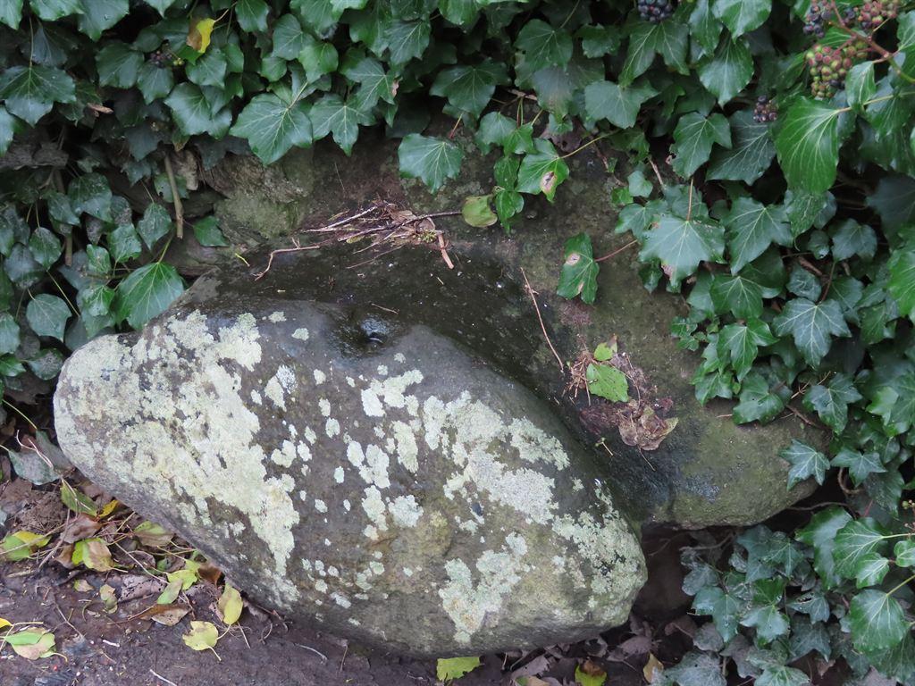 saddle