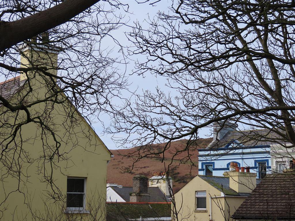 roofs1