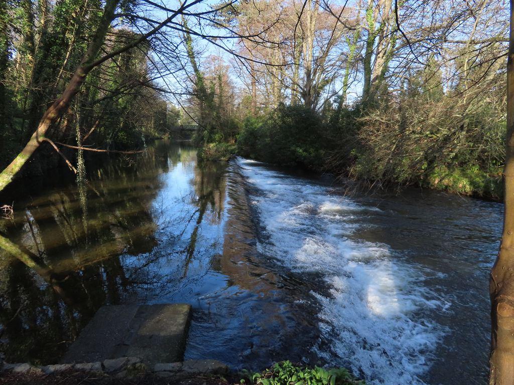weir