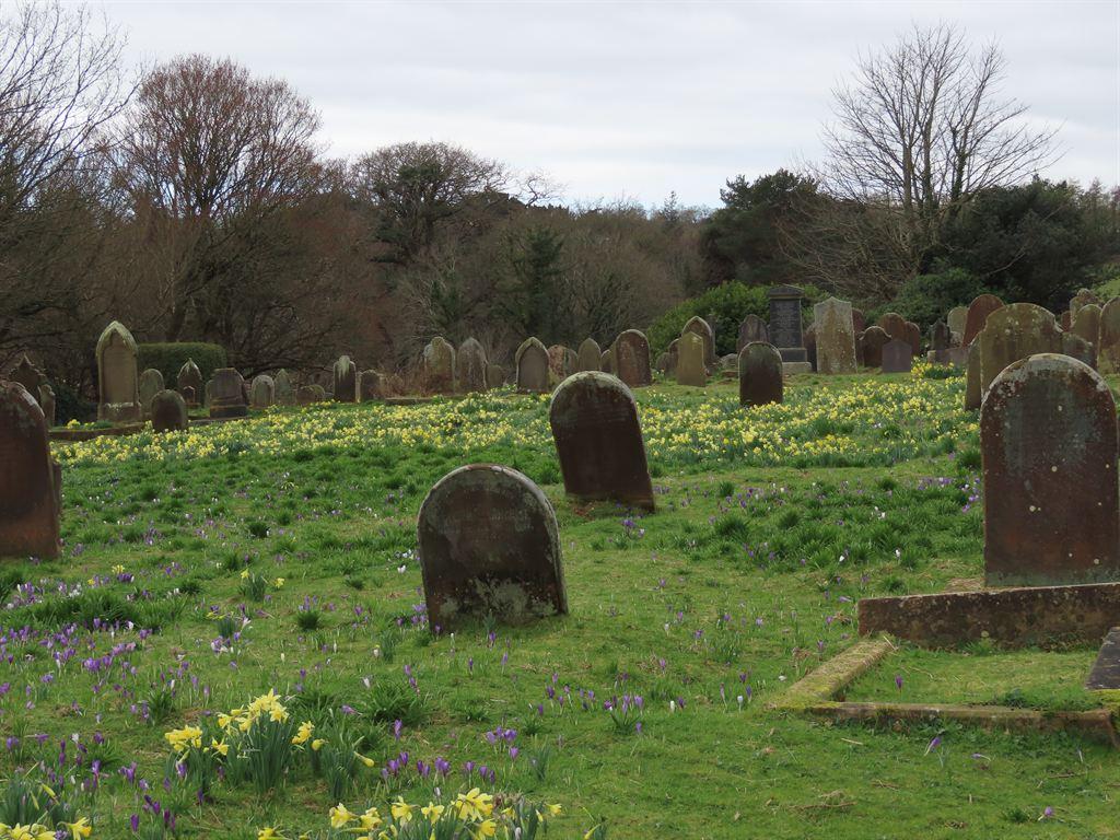 daffs2