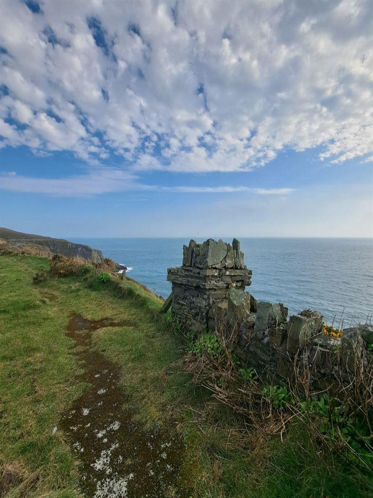 wall